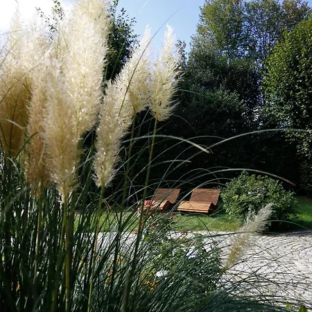 Bayerischer Hof Miesbach, Bw Premier Collection 4* Miesbach